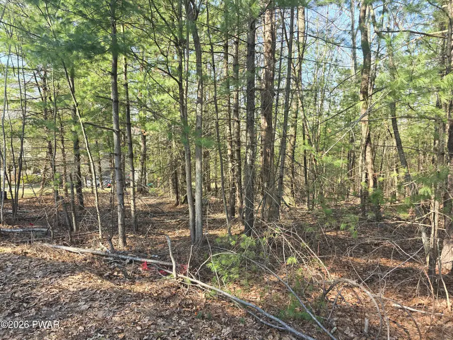 LOT 3 Stone Ridge Road, Dingmans Ferry, PA 18328 - #3