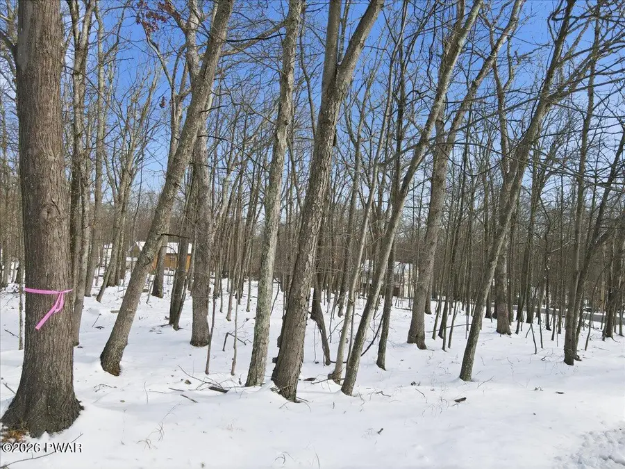 Lot 181 Whippoorwill Dr, Bushkill, PA 18324 - #3