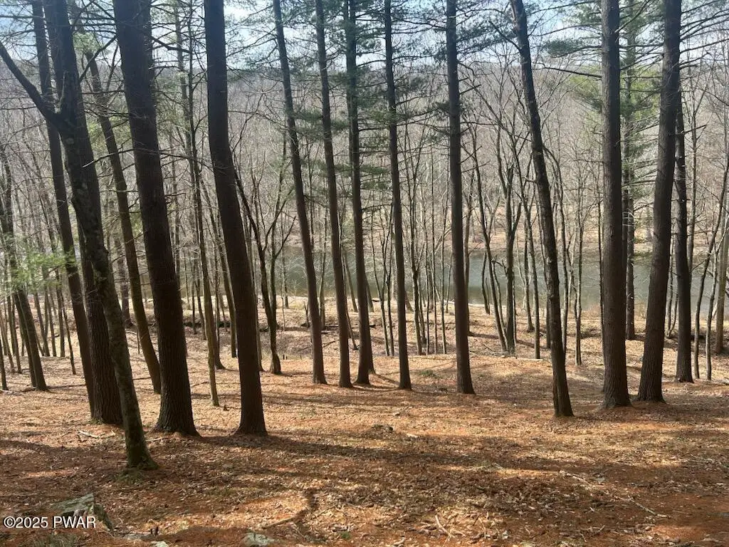 Lot 23 Circle Drive, Hawley, PA 18428 - #1