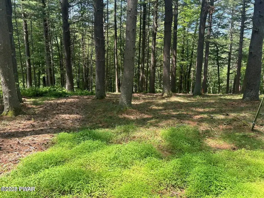 Lot 23 Circle Drive, Hawley, PA 18428 - #2