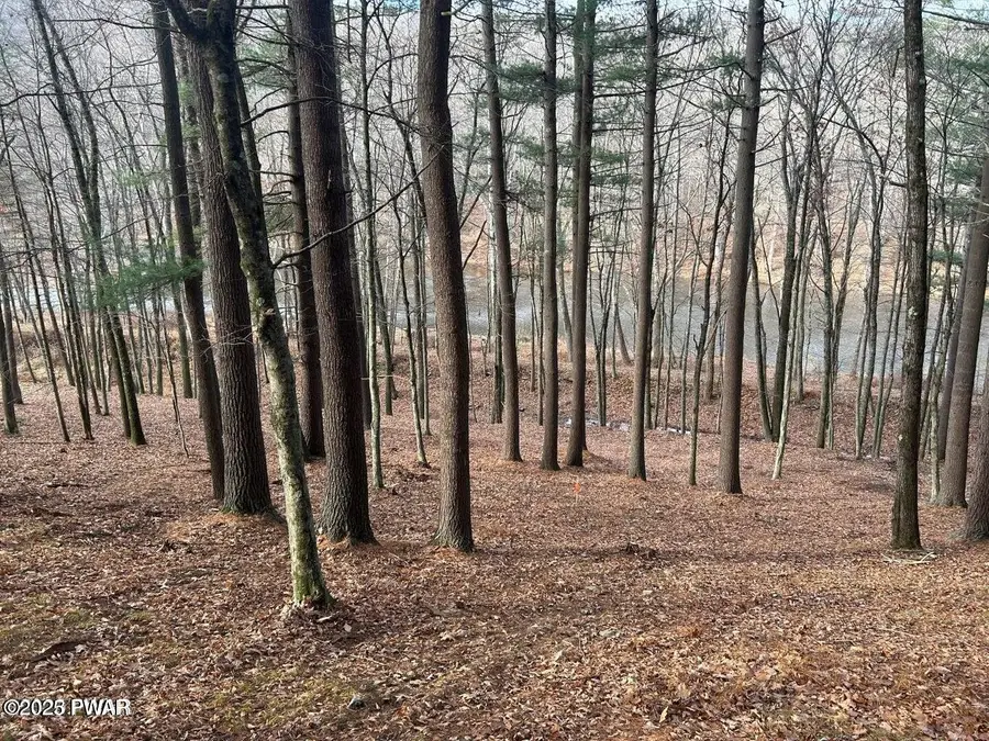 Lot 23 Circle Drive, Hawley, PA 18428 - #3