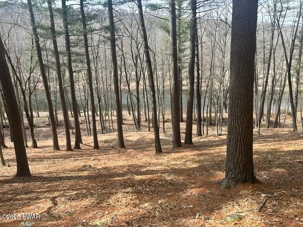 22 & 23 Circle Drive, Hawley, PA 18428 - #1