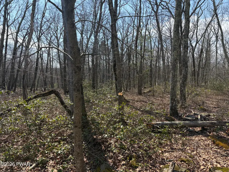 Lot 3509 Walton Way & Stockton Drive, Conashaugh Lakes, PA 18428 - #3