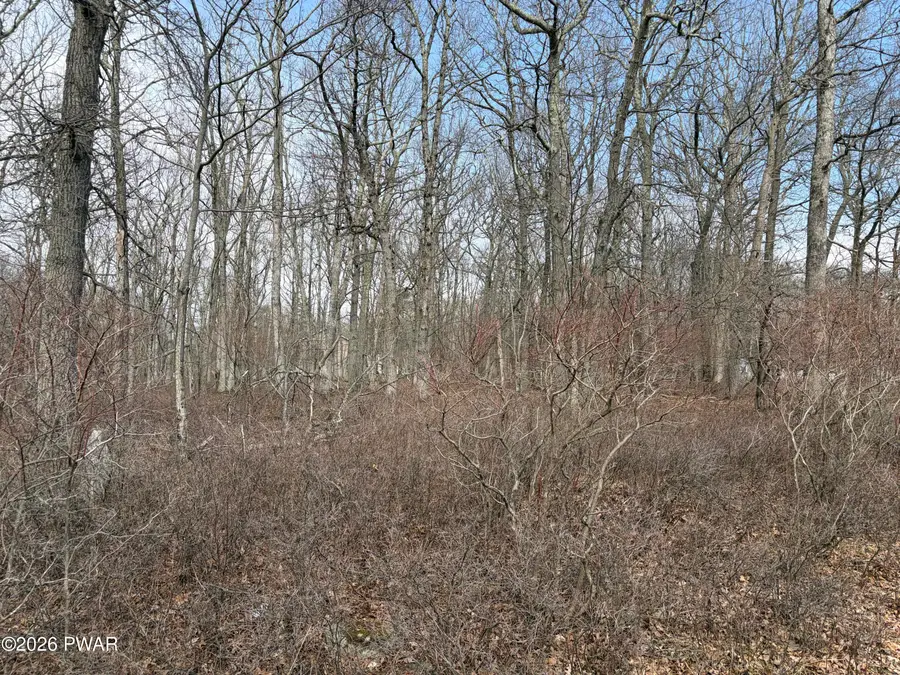 Lot 6019 Hart Ct. & Oneida Way, Milford, PA 18337 - #3