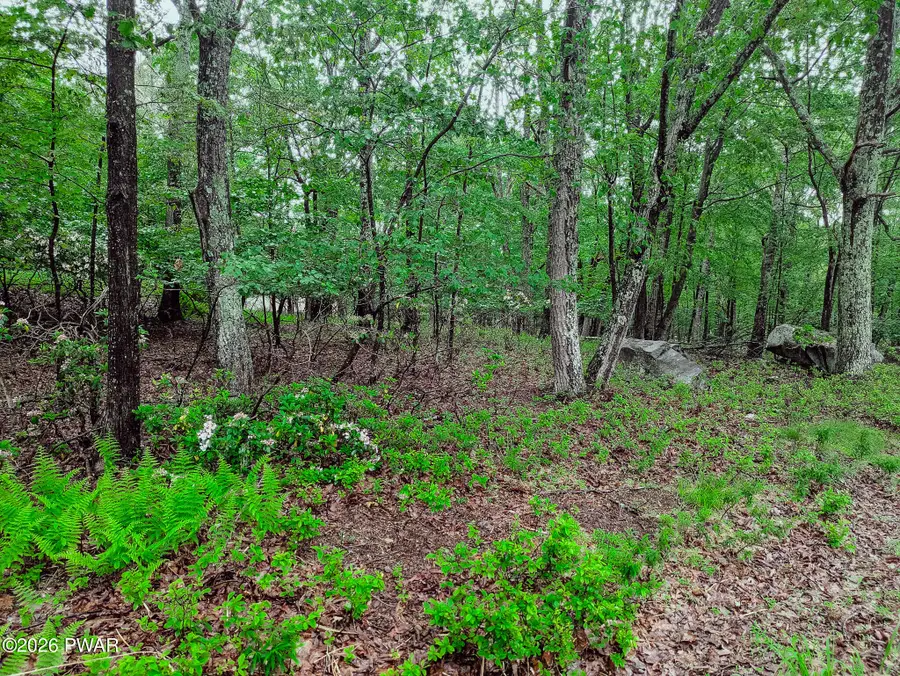 102 Rodney Road, Milford, PA 18337 - #3