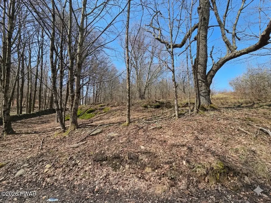 Bryn Mawr Road, Honesdale, PA 18431 - #2