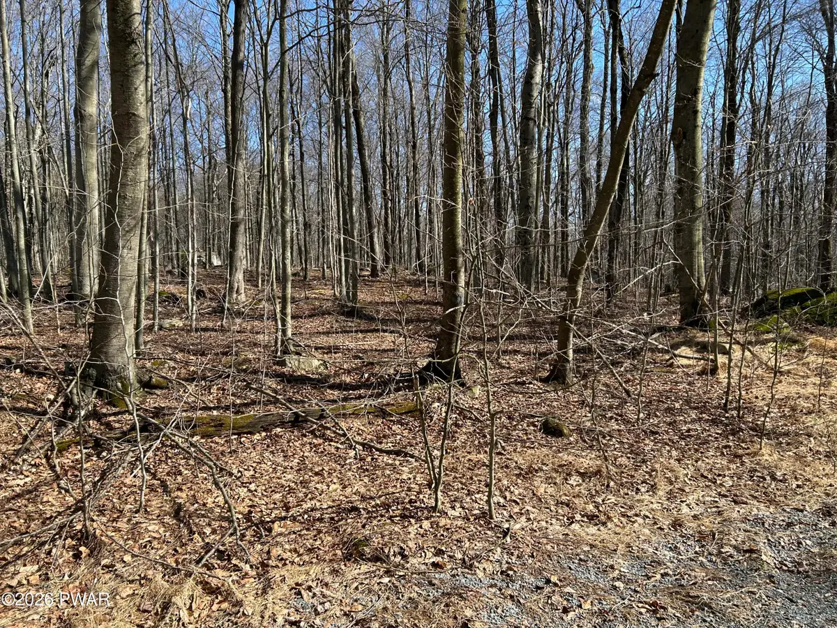 Lot 2201 Saw Mill Road, Greentown, PA 18426 - #1