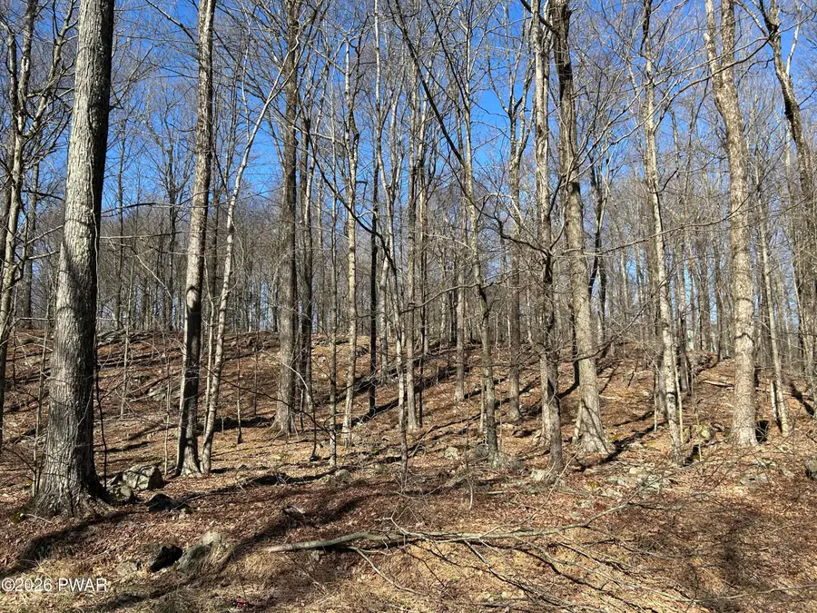 Lot 2201 Saw Mill Road, Greentown, PA 18426 - #2