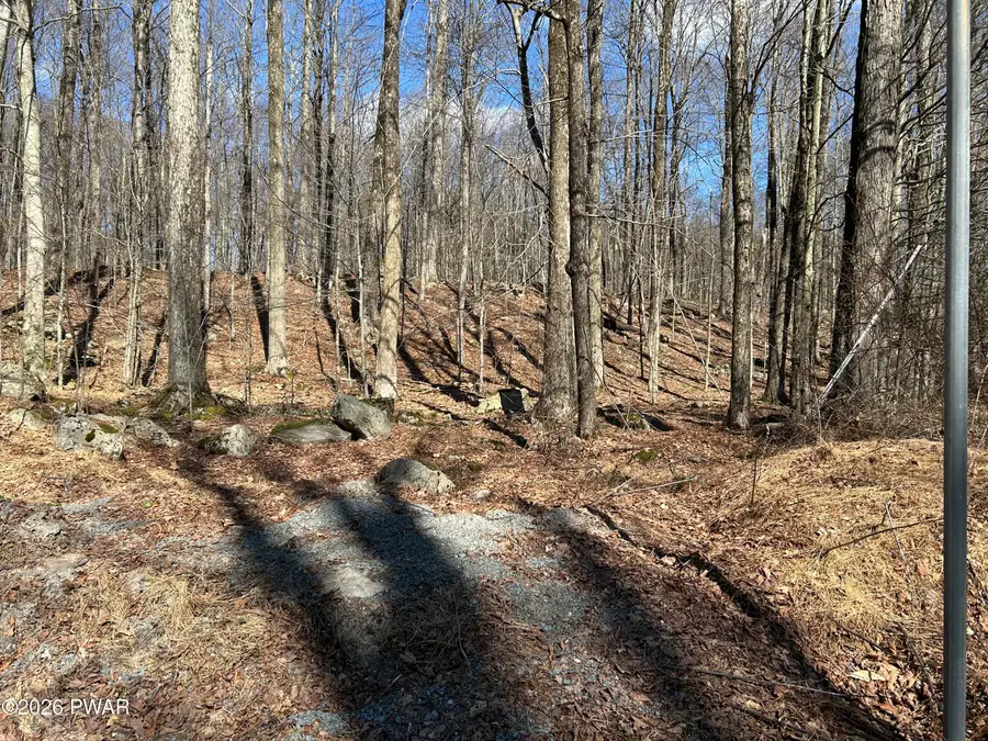 Lot 2201 Saw Mill Road, Greentown, PA 18426 - #3