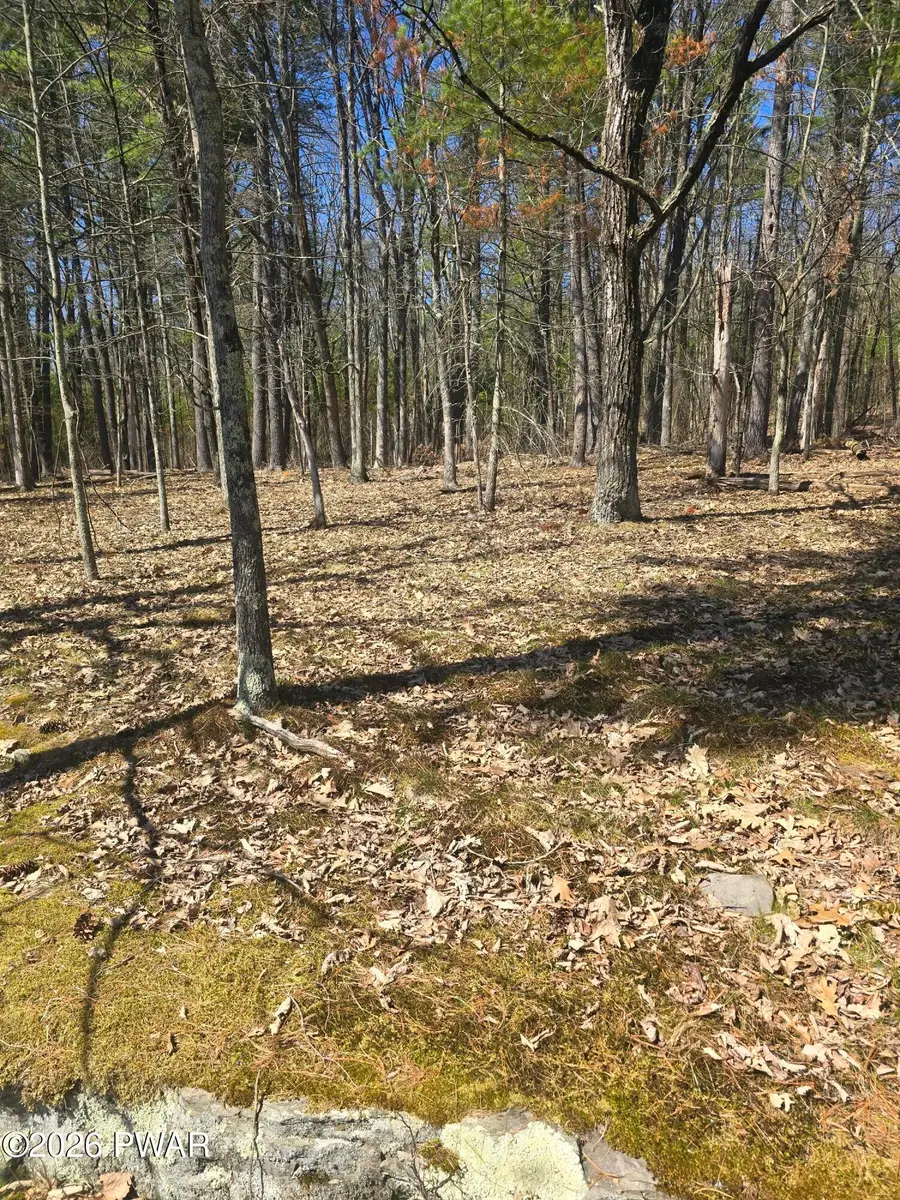 109 Autumn Court, Hawley, PA 18428 - #2