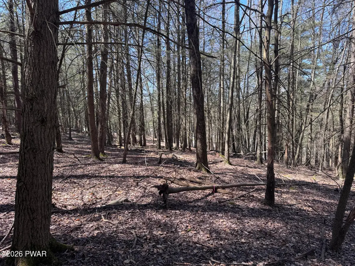 Steep Hill Road, Beach Lake, PA 18405 - #1