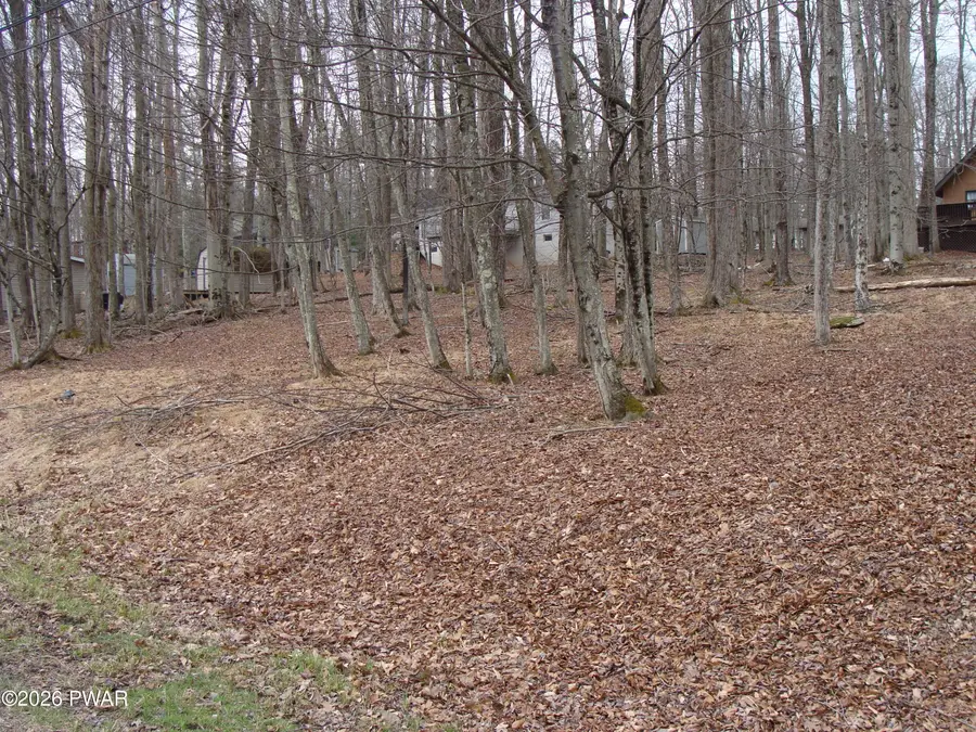 46 Indian Drive, Lake Ariel, PA 18436 - #2