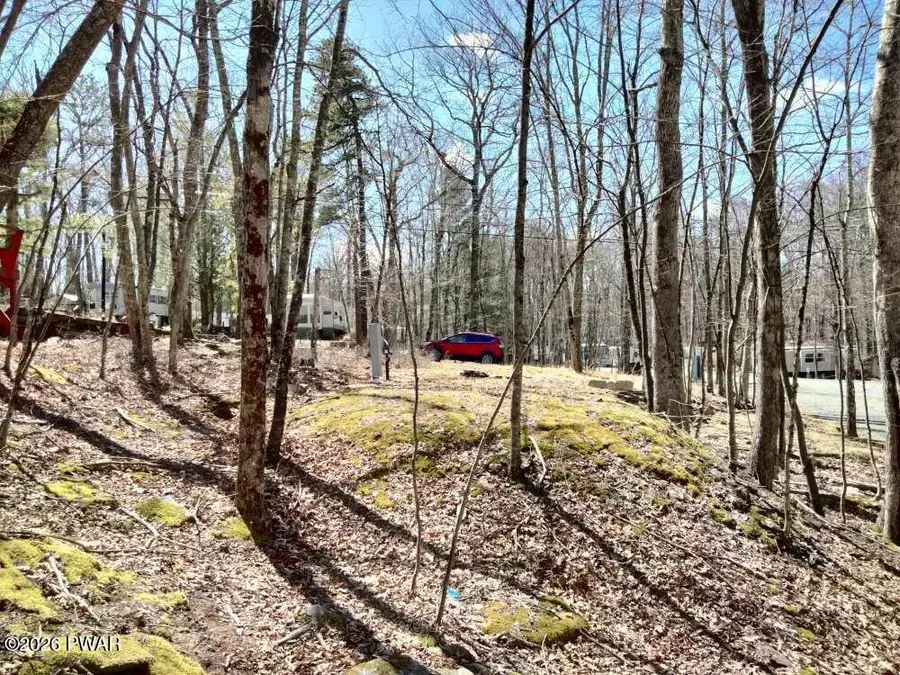 119 Locust Lake Drive, Milford, PA 18337 - #3