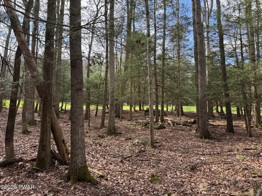 N Evergreen Drive, Greentown, PA 18426 - #2