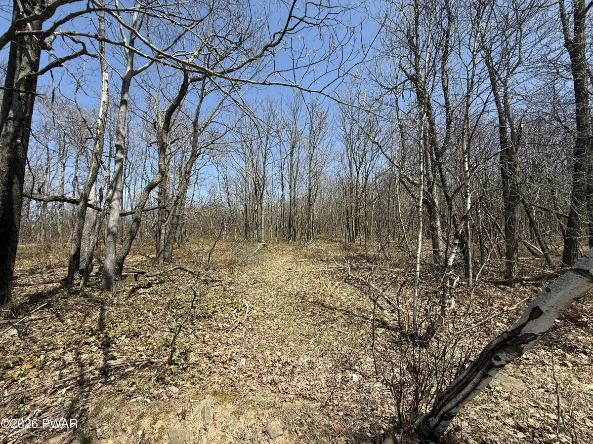 Salem Mountain Road, Carbondale, PA 18407 - #1