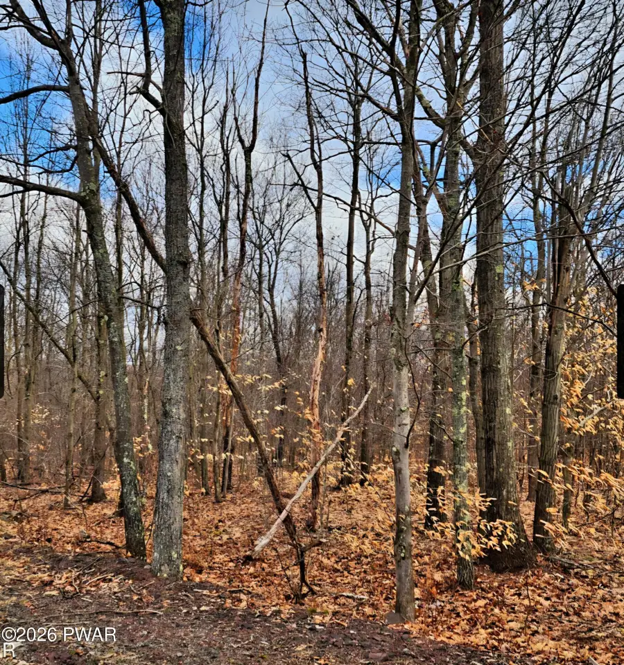 193 Highland Road, Roaring Brook, PA 18444 - #3