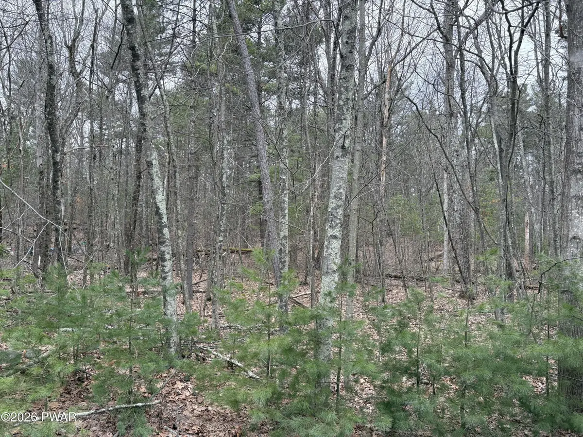 Lot 13 Juniper Terrace, Dingmans Ferry, PA 18328 - #1