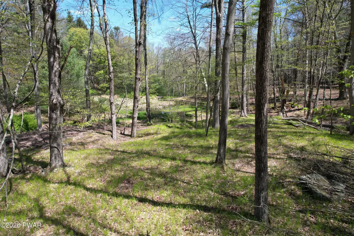 162 Log And Twig Road, Dingmans Ferry, PA 18328 - #1