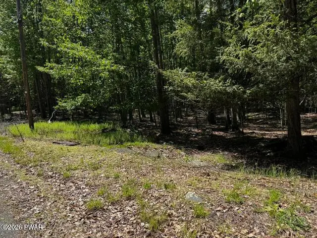 Lot 826 Fawn Rd And Lot 824 Pine Creek Road, Hawley, PA 18428 - #3