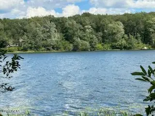 Lot R-C3 Spruce Lake Road, Thompson, PA 18465