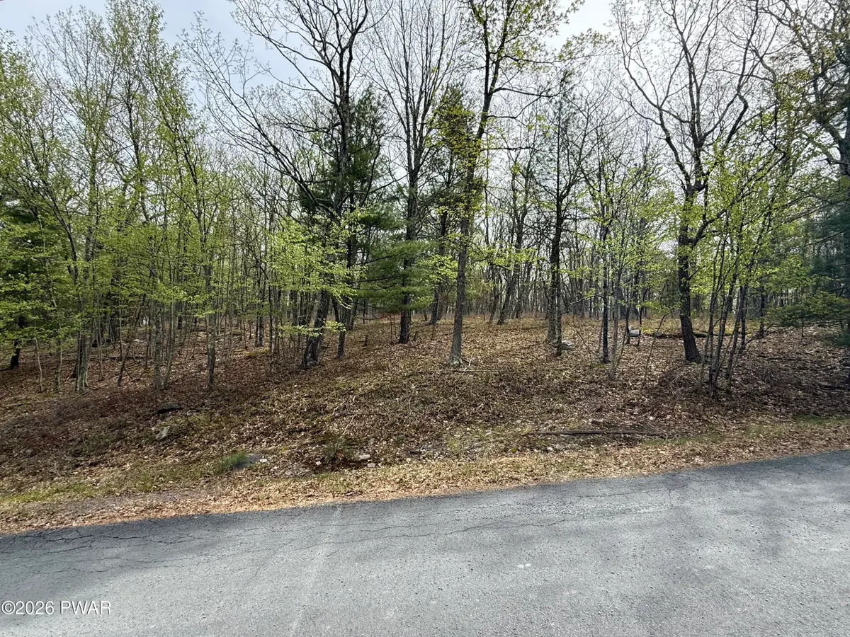 Lot 35 Ponderosa Pine Road, Hawley, PA 18428 - #1