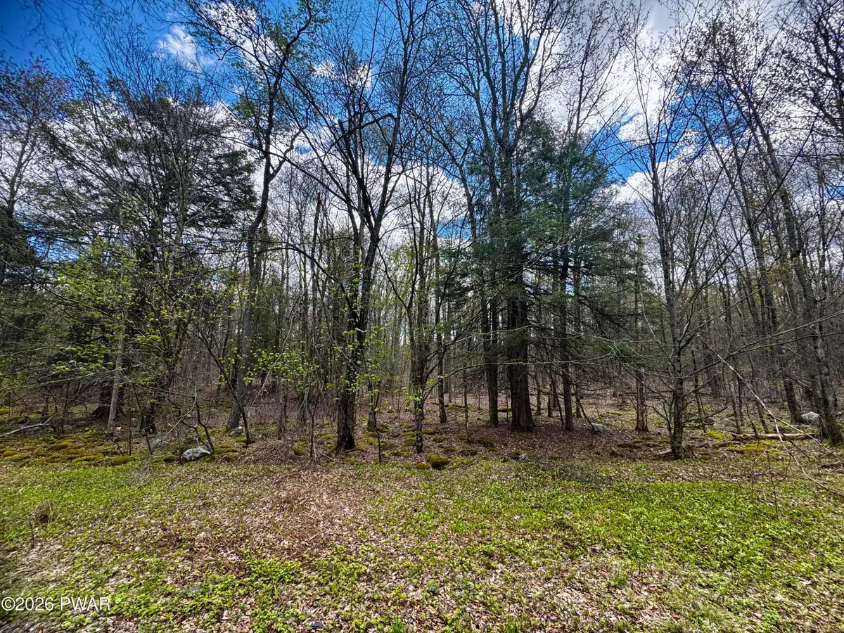 Pleasant Mount Drive, Forest City, PA 18421 - #1