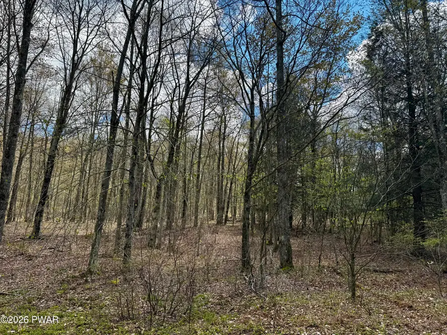 Pleasant Mount Drive, Forest City, PA 18421 - #3