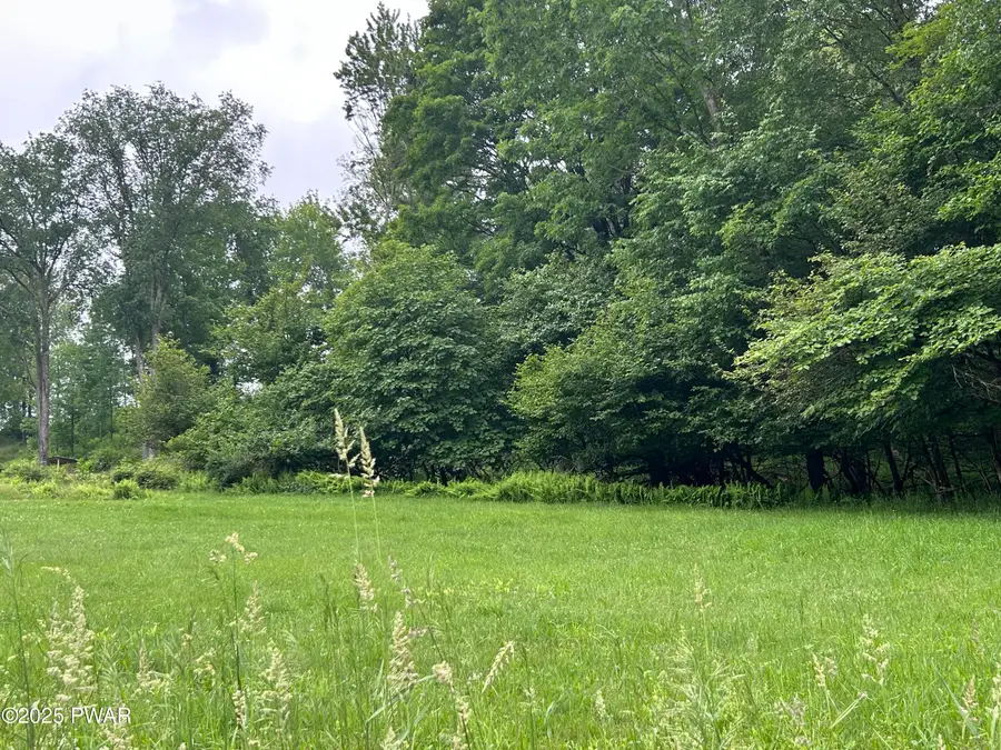 Conklin Hill Road, Damascus, PA 18415 - #2