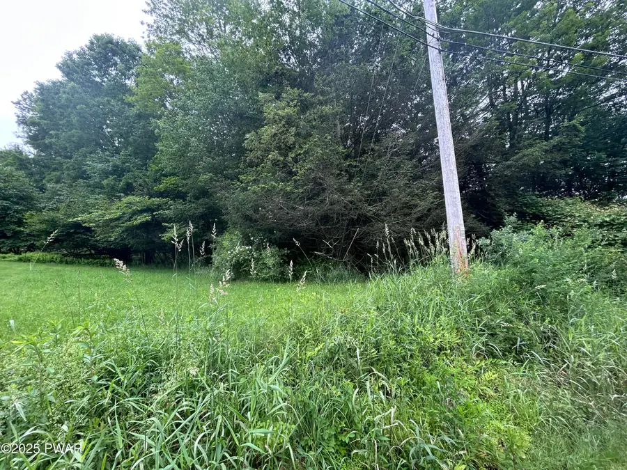 Conklin Hill Road, Damascus, PA 18415 - #3