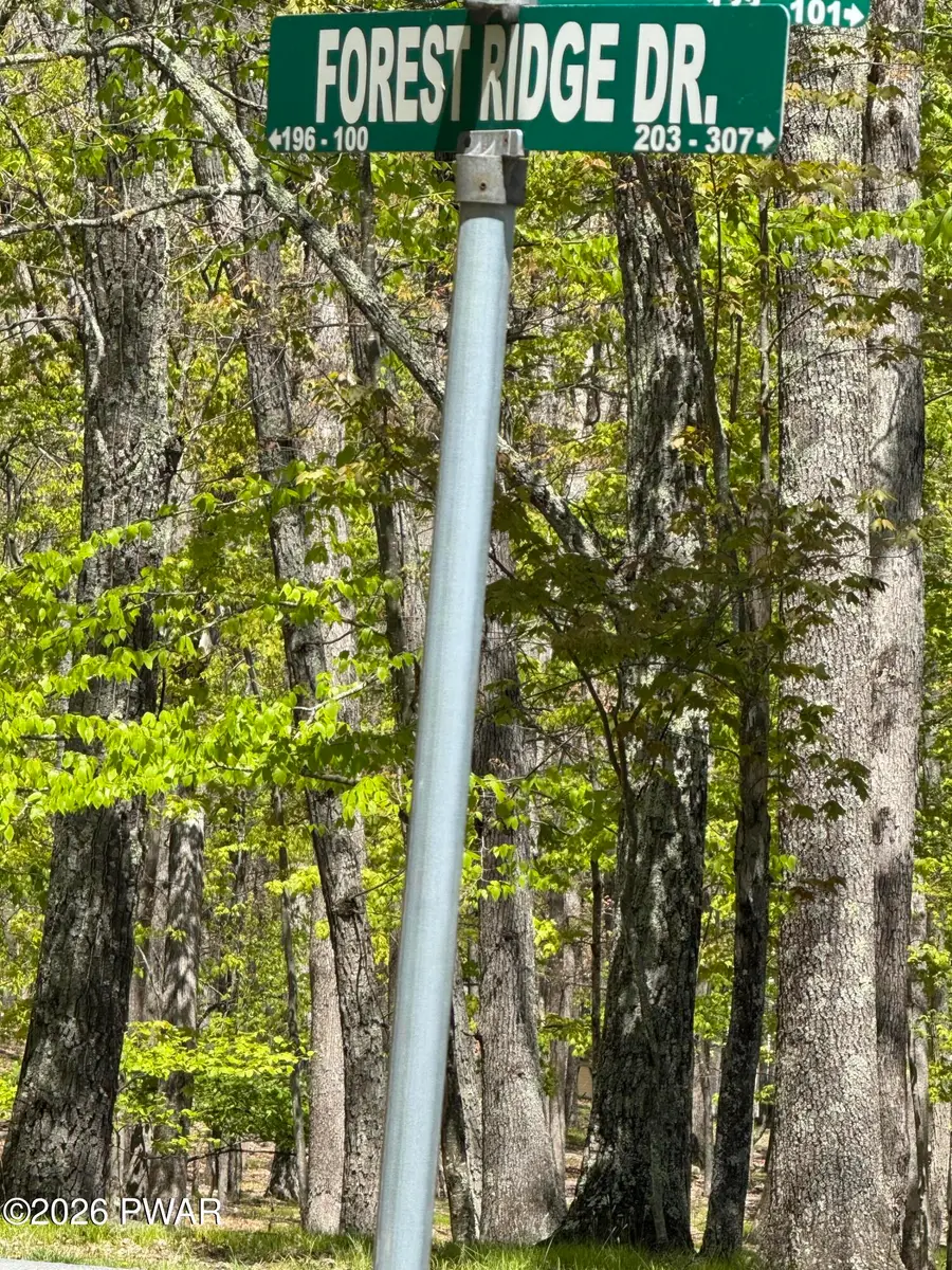 Lot # 89 Forest Ridge Drive, Hawley, PA 18428 - #2