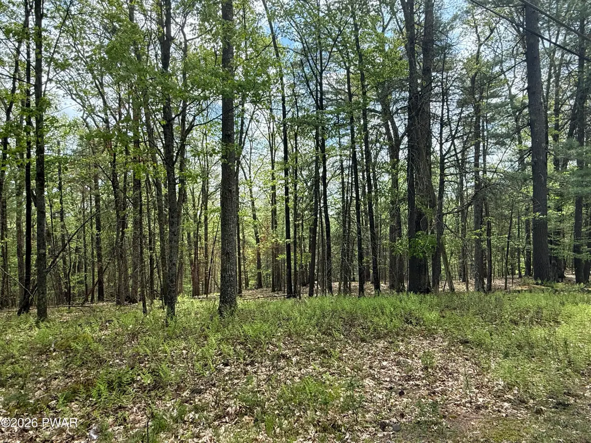 Lot 447 Eastwood Circle, Lackawaxen, PA 18428 - #1