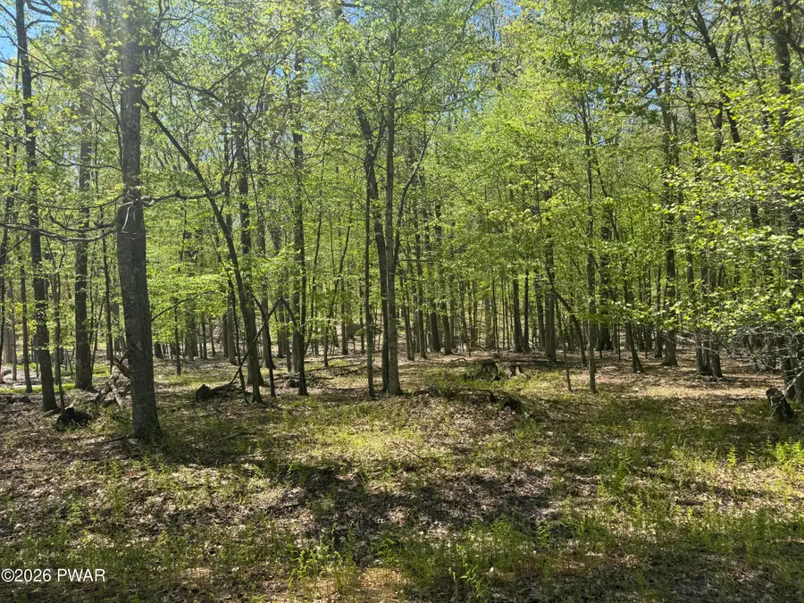 Lot # 86 High Point Court, Hawley, PA 18428 - #2