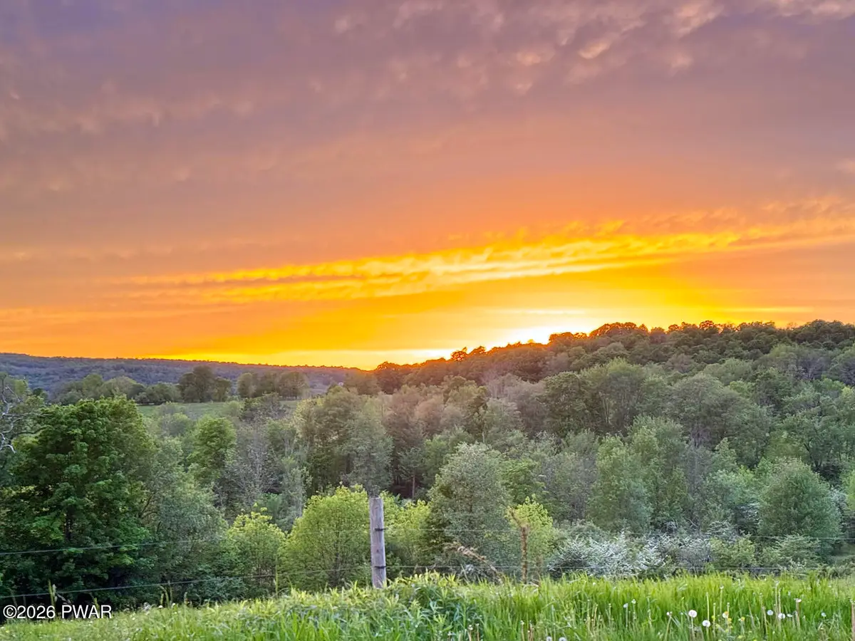 0 Westcott Road, Tyler Hill, PA 18469 - #1