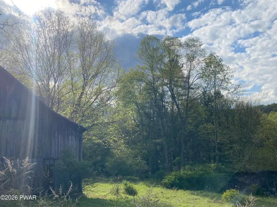 00 John Davis Road, Beach Lake, PA 18405 - #2