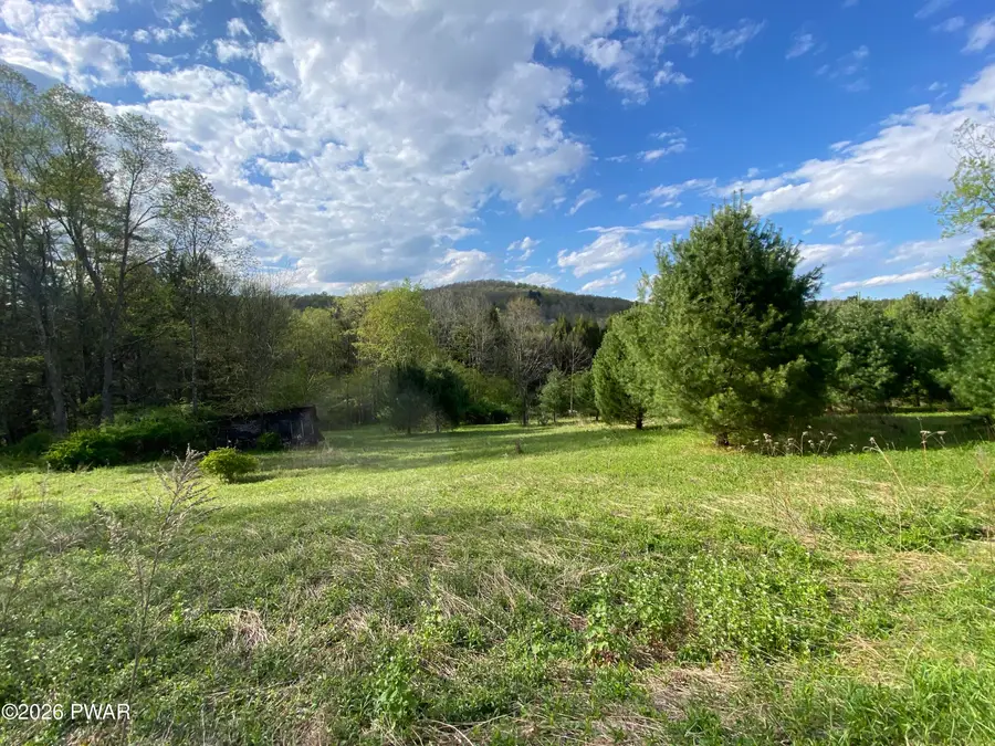 00 John Davis Road, Beach Lake, PA 18405 - #3