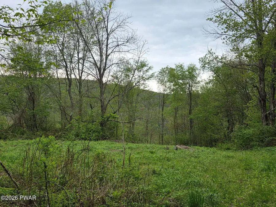 33 Bucks Road, Susquehanna, PA 18847 - #2