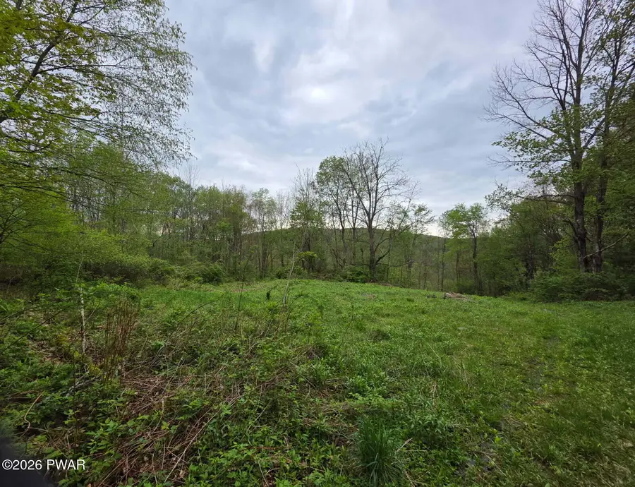 33 Bucks Road, Susquehanna, PA 18847 - #3