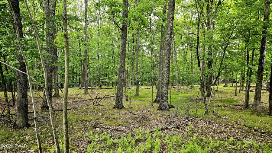 Lot 34 Westcolang Road, Hawley, PA 18428 - #2