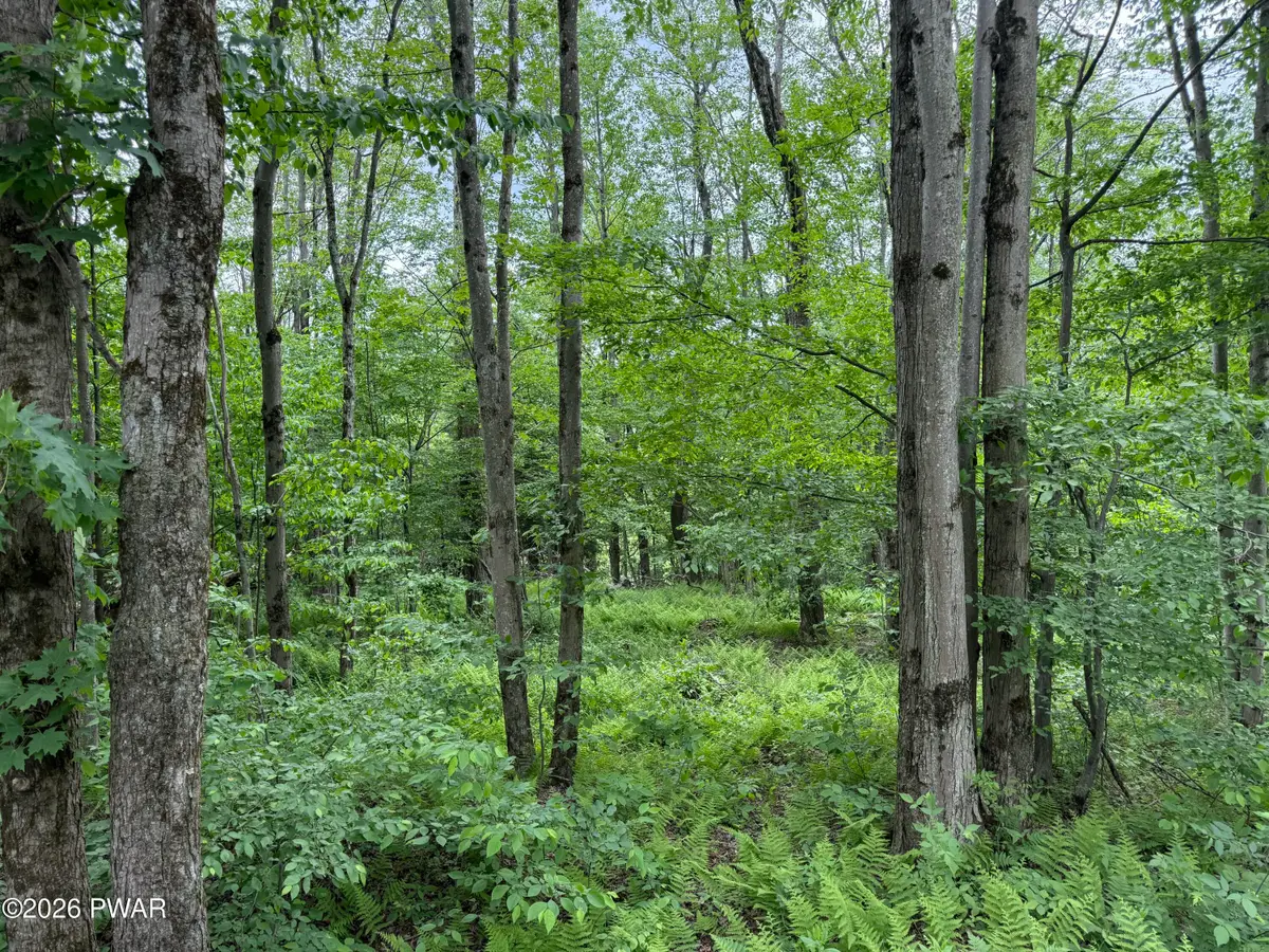 Beaver Hollow Road, Lakewood, PA 18439 - #1
