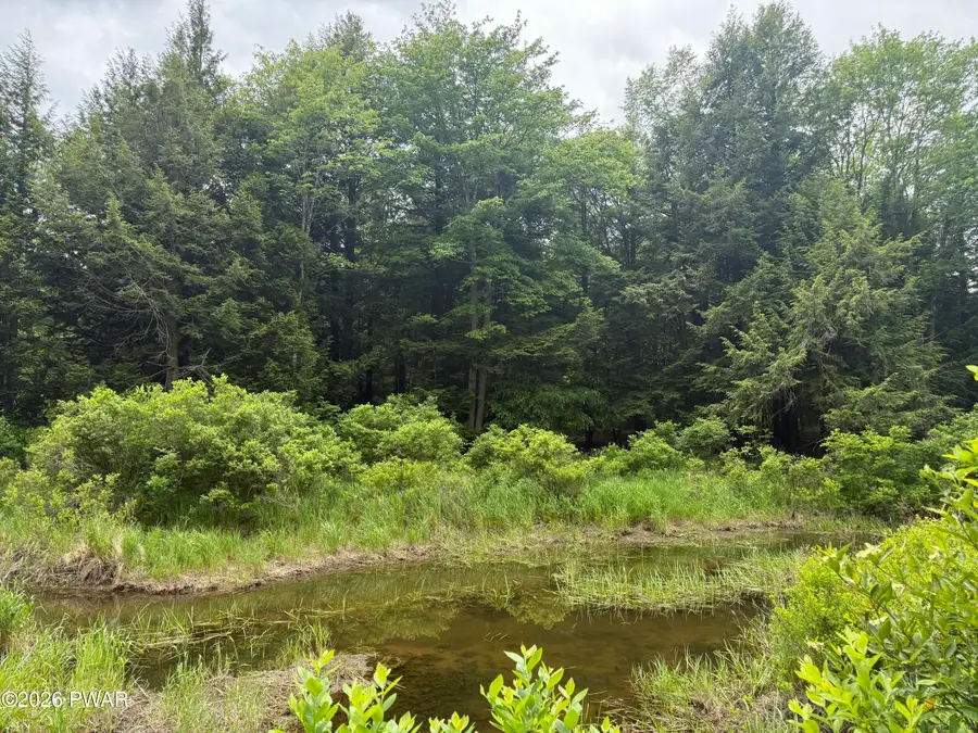 Beaver Hollow Road, Lakewood, PA 18439 - #2
