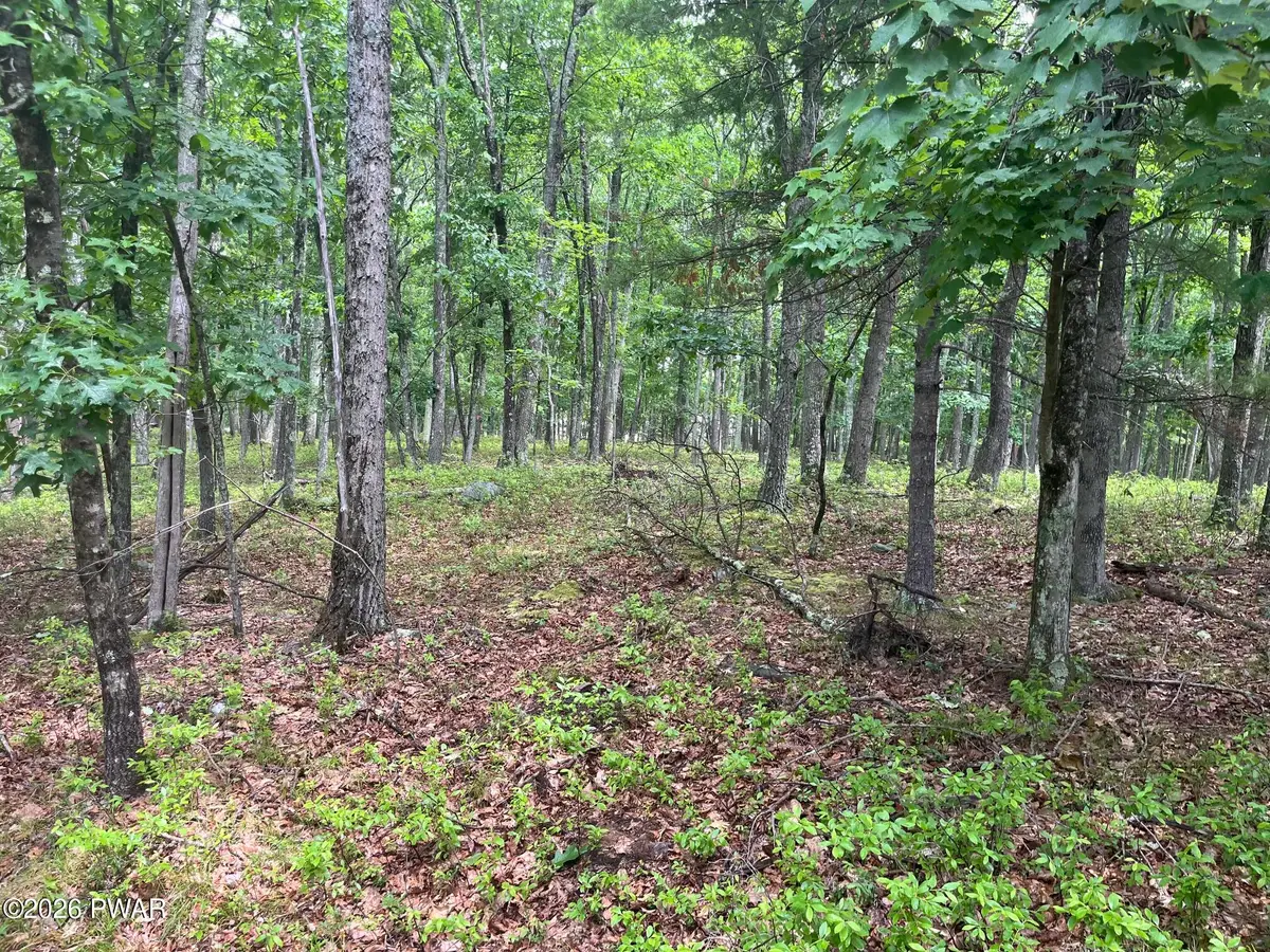 lot 13 Ledgecrest Road, Hawley, PA 18428 - #1