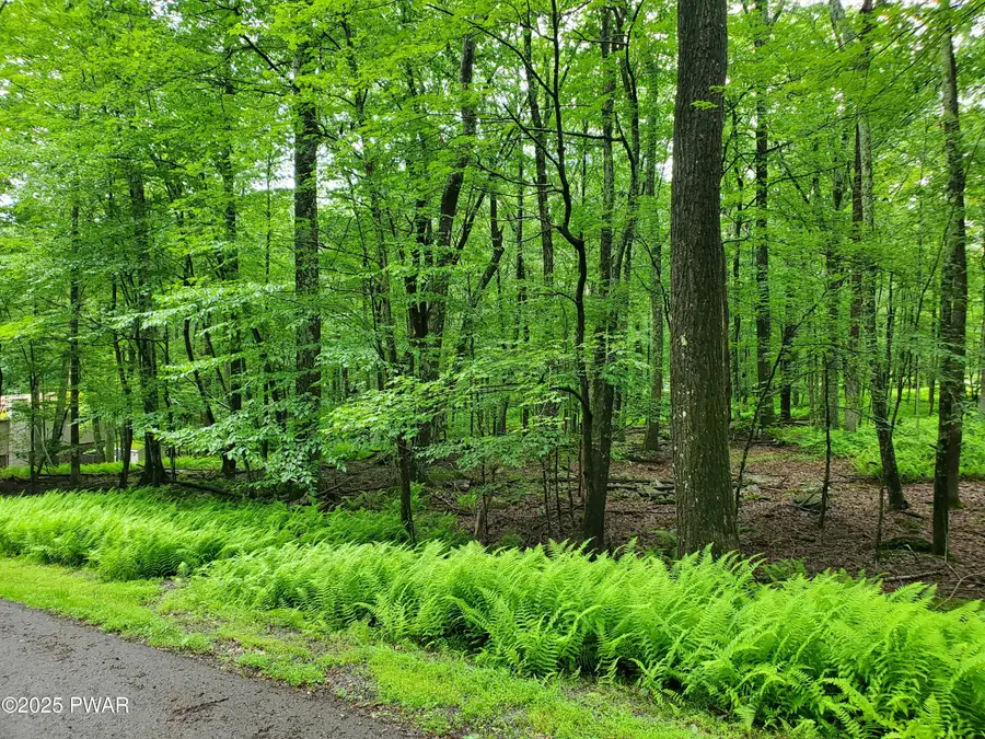 138 Laurel Circle, Hawley, PA 18428 - #2