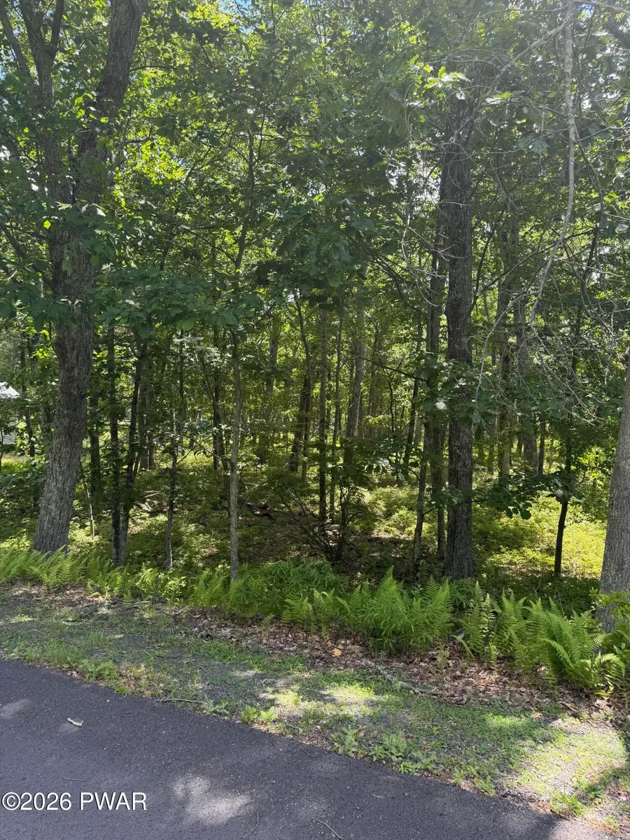 2119 Mallard Court, Pocono Ranch Lands, PA 18328 - #3