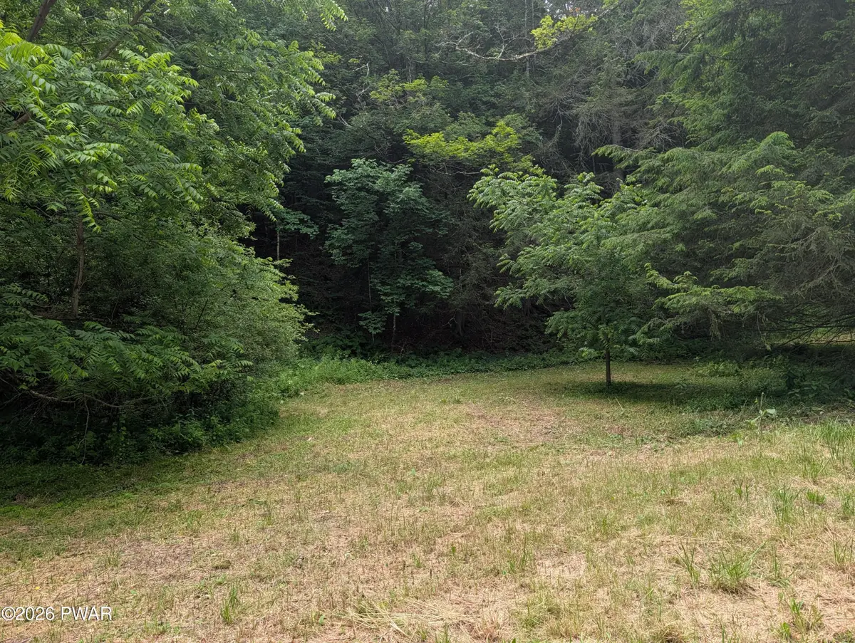 103 Hopkins, Tyler Hill, PA 18469 - #1