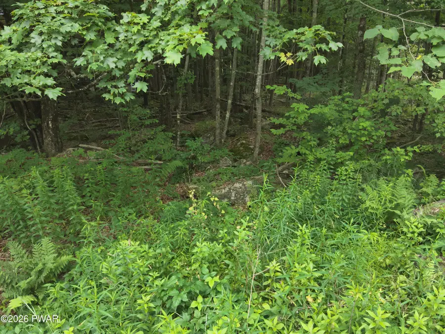 3642 Hidden Lake Drive, Lake Ariel, PA 18436 - #2