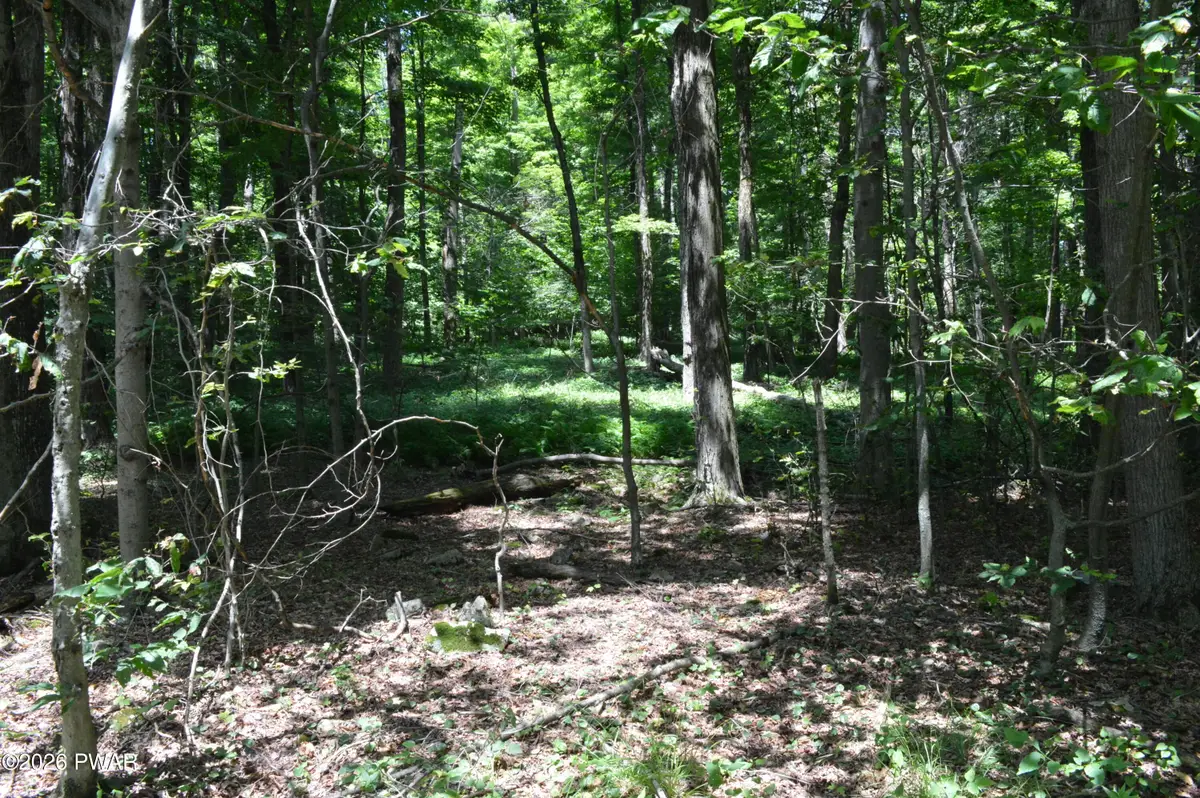 Akers Road, Newfoundland, PA 18445 - #1