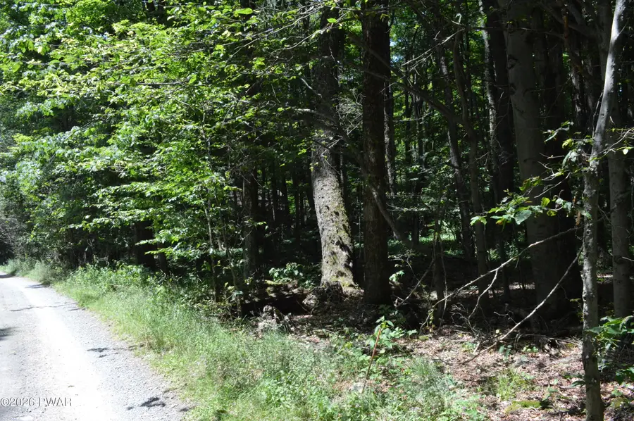 Akers Road, Newfoundland, PA 18445 - #2