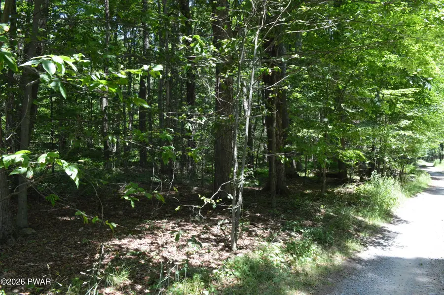 Akers Road, Newfoundland, PA 18445 - #3