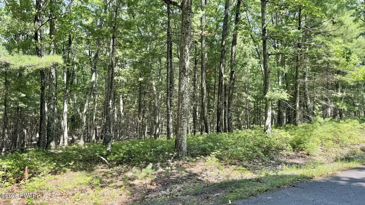 Lot 45 Soose Way, Tafton, PA 18464 - #1