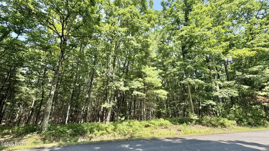 Lot 45 Soose Way, Tafton, PA 18464 - #2